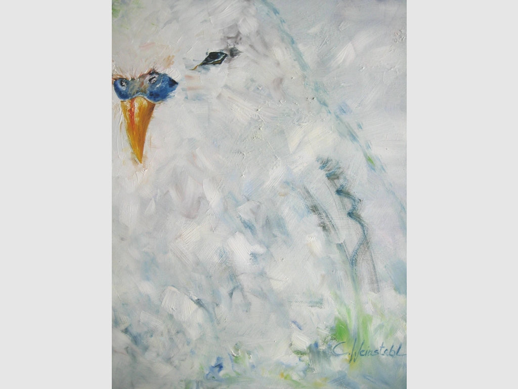 Bird, oil on canvas 70x60cm
